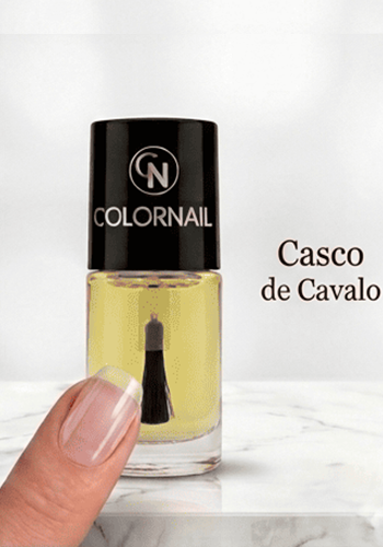 BASE CASCO DE CAVALO   REF. 174